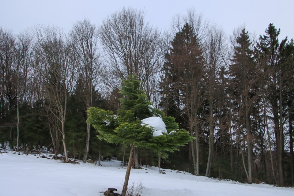 2021_12_14 Nebeška gora in Kum - foto povečava