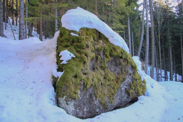 2021_12_19 Veliki Travnik ( 1673 m )  - foto