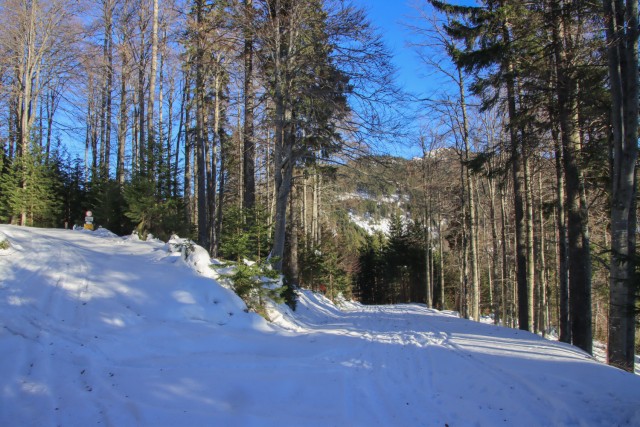 2021_12_19 Veliki Travnik ( 1673 m )  - foto