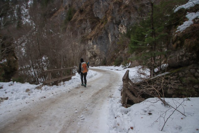 2021_12_21 Smokuški vrh ( 1122 m )  - foto