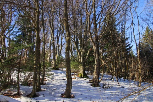 2021_12_30 Partrizanski vrh / Sveta planina - foto