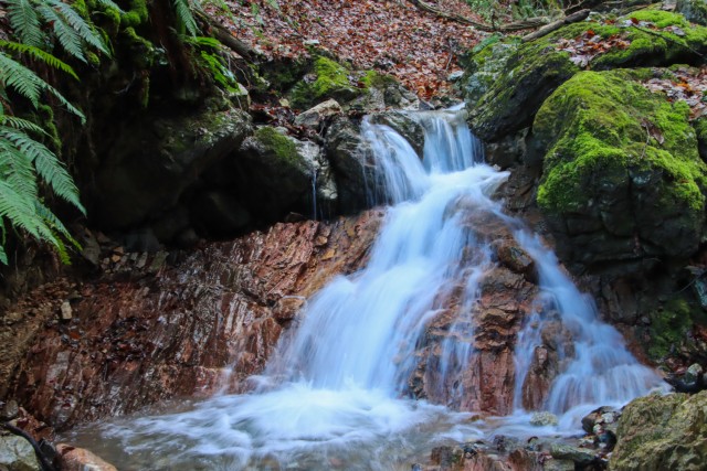 2021_12_30 Partrizanski vrh / Sveta planina - foto