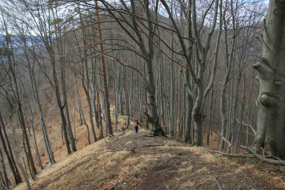 2022_01_23 Baba, Ostri vrh, Kal - foto povečava