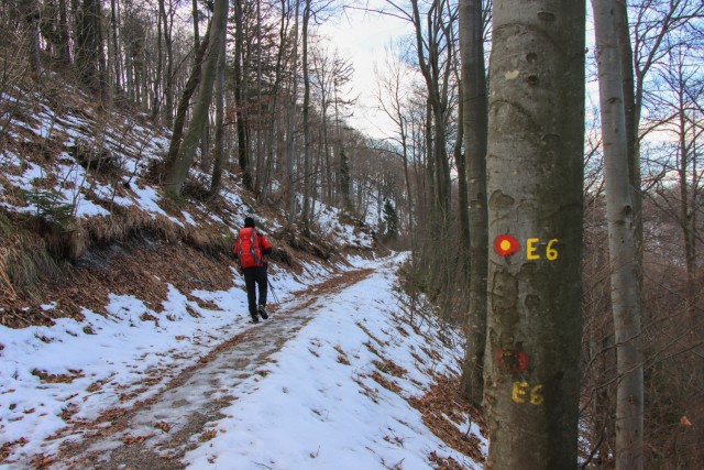 2022_02_01 Limbarska gora - foto