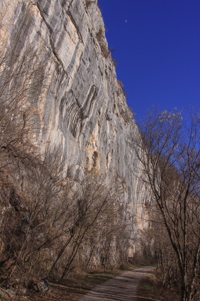 2022_02_08 pot po Brkinškem robu - foto povečava