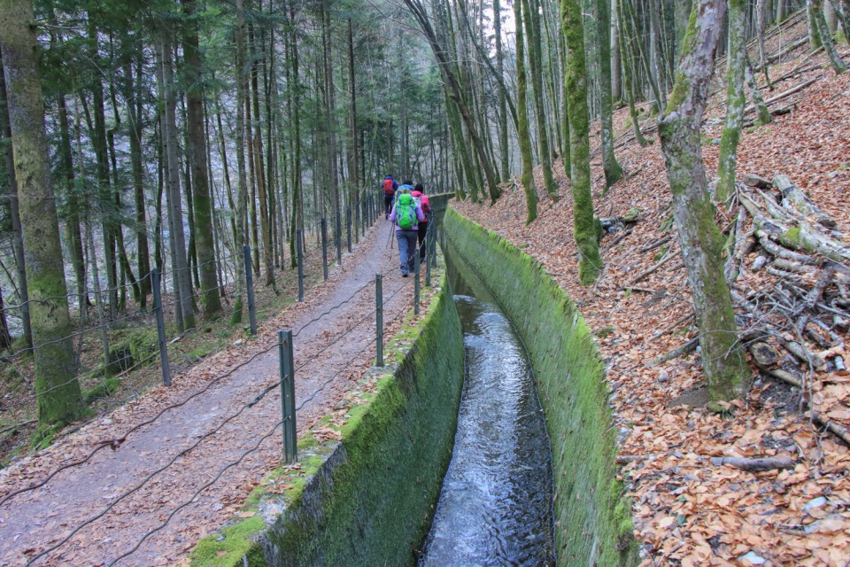 2022_02_13 Hleviše ( 908 m ) - foto povečava