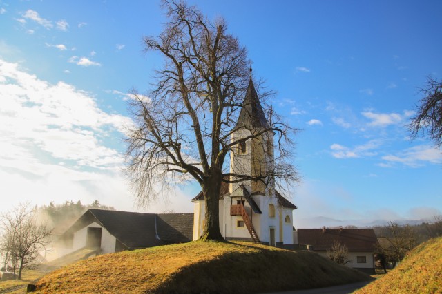 2022_'2_22 Sevnica - Gor.Leskovec - Sevnica - foto