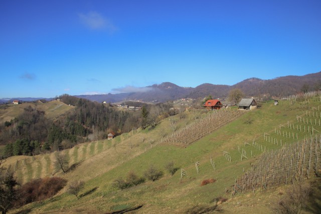 2022_'2_22 Sevnica - Gor.Leskovec - Sevnica - foto