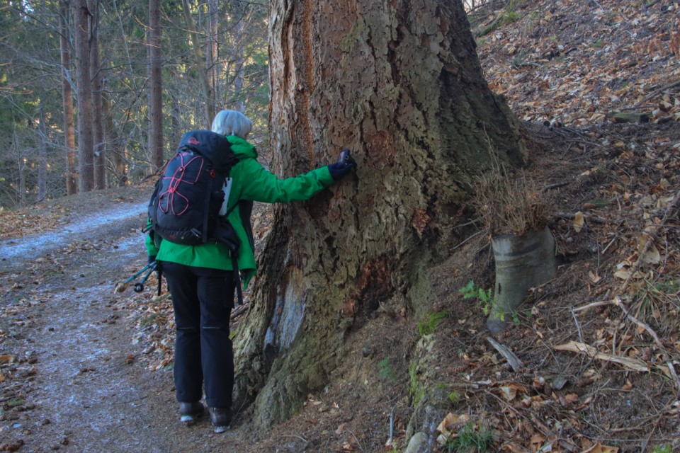 2022_03_01 Tolsti vrh in Grmada nad Celjem - foto povečava