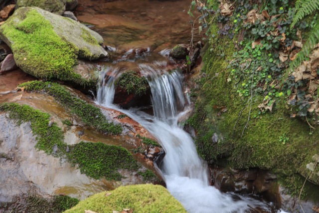2022_03_16 potok Rapušca in Žebnik - foto