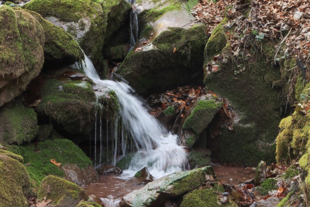 2022_03_16 potok Rapušca in Žebnik - foto