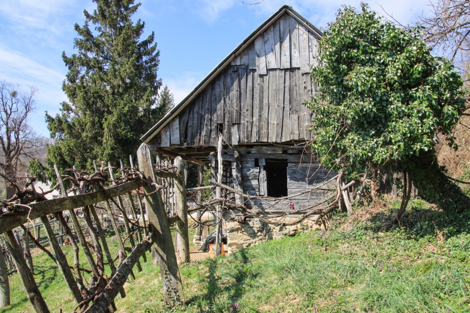 2022_04_05 Donačka gora ( 884 m ) - foto povečava