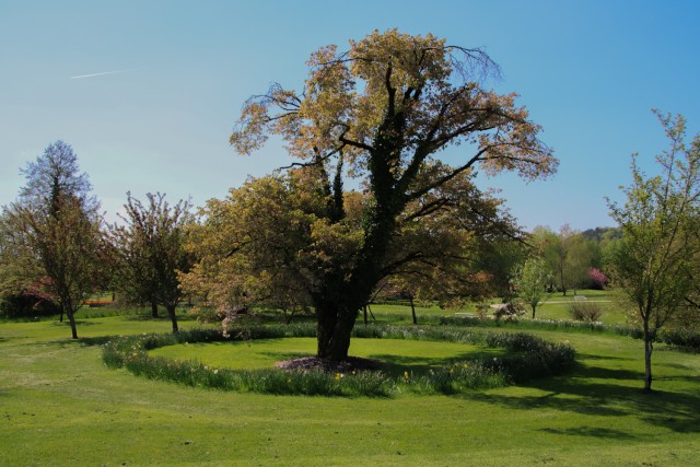 2022_04_28 Arboretum Volčji potok - foto