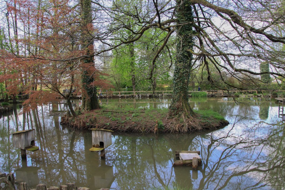 2022_04_28 Arboretum Volčji potok - foto povečava