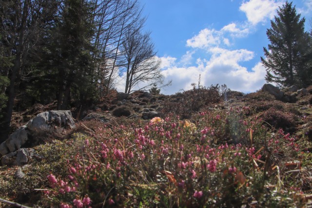 2022_04_29 Velika planina čez Rigelj - foto