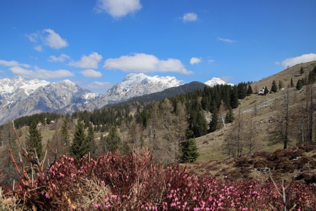 2022_04_29 Velika planina čez Rigelj - foto