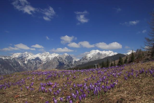 2022_04_29 Velika planina čez Rigelj - foto