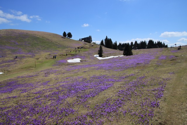 2022_04_29 Velika planina čez Rigelj - foto