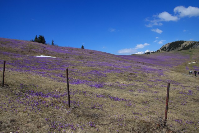 2022_04_29 Velika planina čez Rigelj - foto