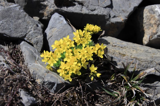 2022_04_29 Velika planina čez Rigelj - foto