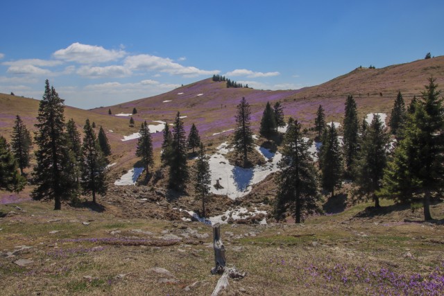 2022_04_29 Velika planina čez Rigelj - foto