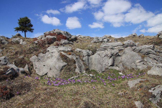 2022_04_29 Velika planina čez Rigelj - foto