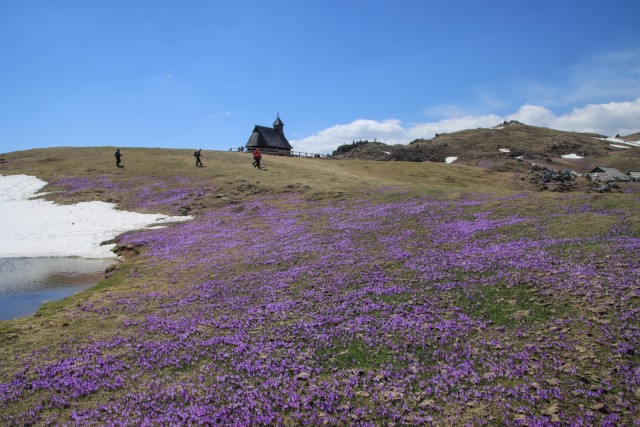 2022_04_29 Velika planina čez Rigelj - foto