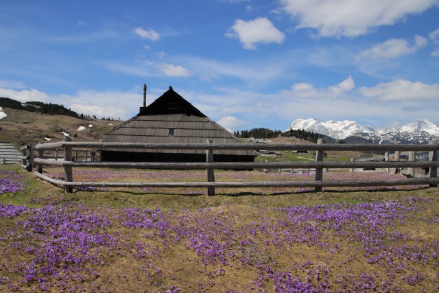 2022_04_29 Velika planina čez Rigelj - foto