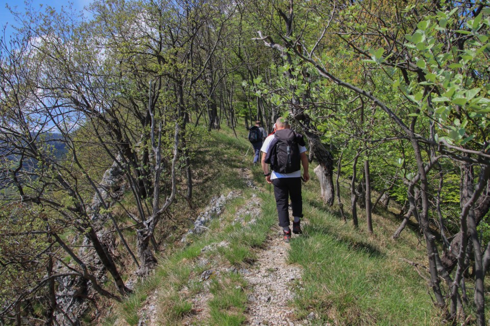 2022_05_03 Kamnik in Hom  - foto povečava