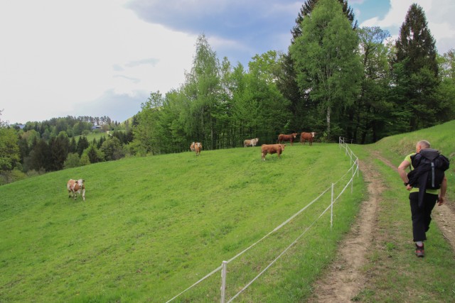 2022_05_03 Kamnik in Hom  - foto