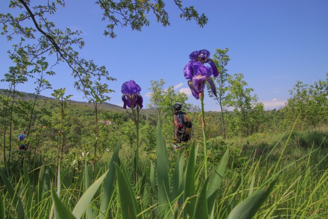 2022_05_08 Moščenička Draga - foto