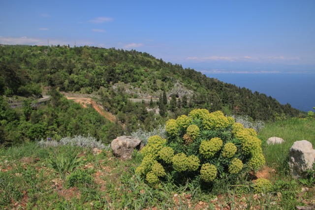 2022_05_08 Moščenička Draga - foto