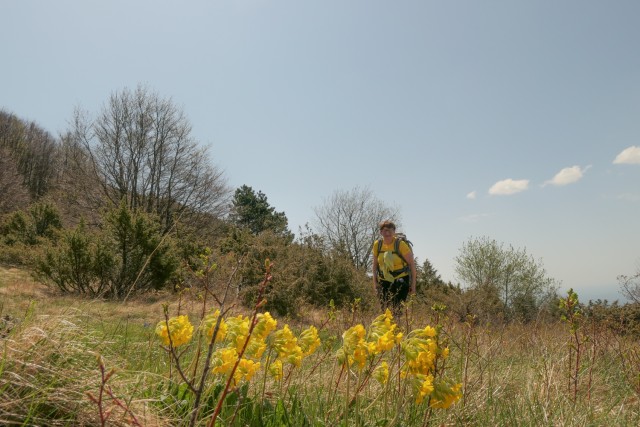 2022_05_09 Vojak ( 1401 m ) - Učka - foto