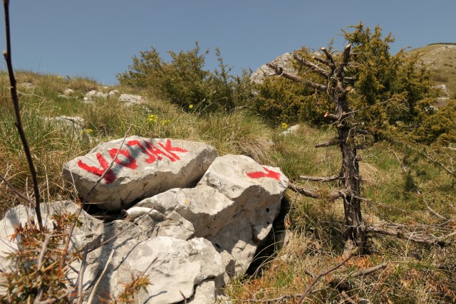 2022_05_09 Vojak ( 1401 m ) - Učka - foto