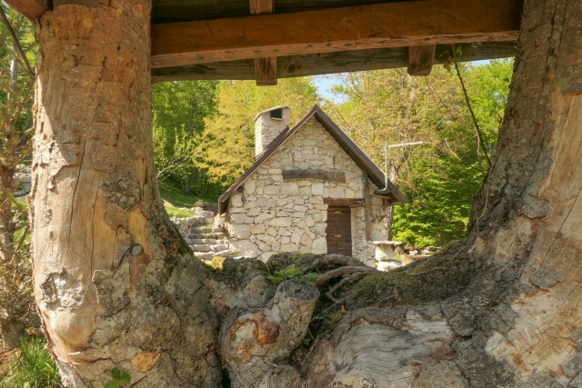 2022_05_09 Vojak ( 1401 m ) - Učka - foto