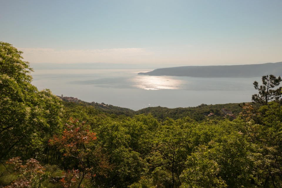 2022_05_11 Sisol - Šikovac in Kremenjak - foto povečava