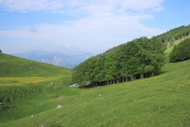 2022_06_02 Struška in Šmarna gora - foto