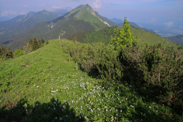 2022_06_02 Struška in Šmarna gora - foto