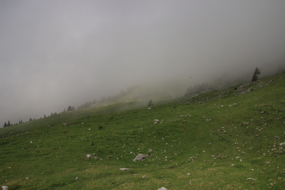 2022_06_02 Struška in Šmarna gora - foto povečava