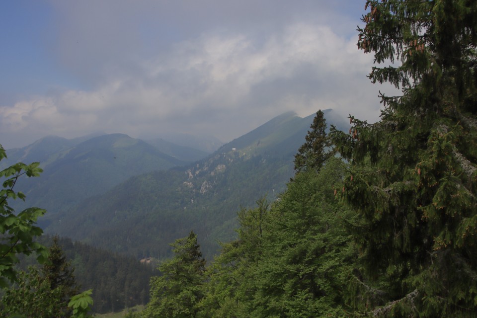 2022_06_02 Struška in Šmarna gora - foto povečava