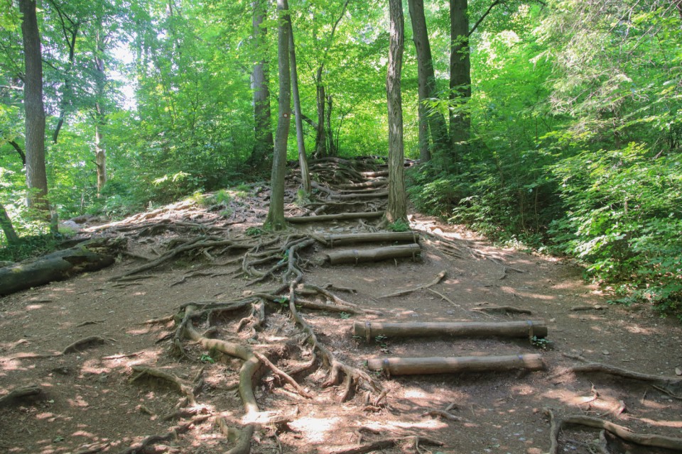2022_06_02 Struška in Šmarna gora - foto povečava
