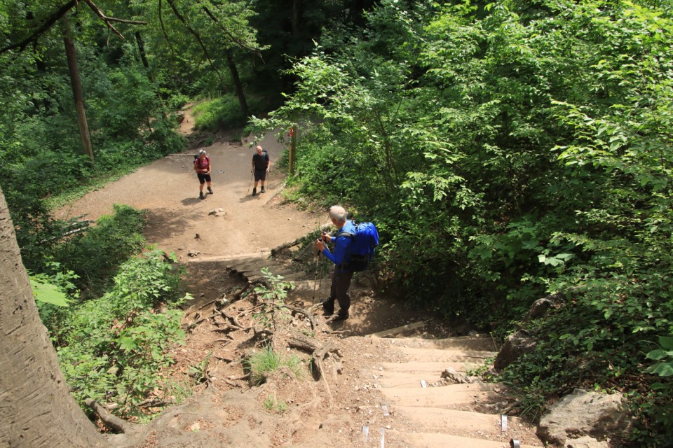 2022_06_02 Struška in Šmarna gora - foto povečava
