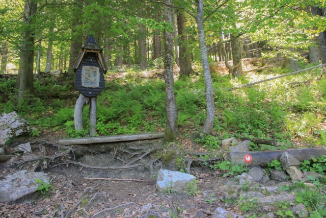 2022_06_04 Uršlja gora - foto