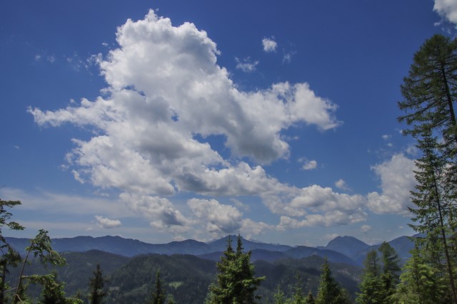 2022_06_04 Uršlja gora - foto