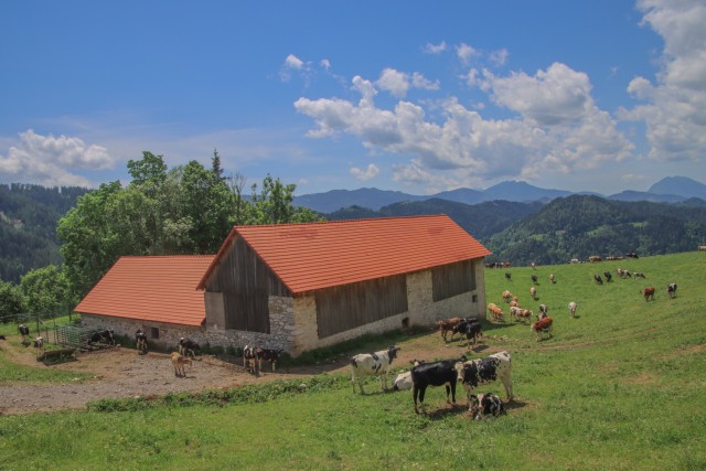 2022_06_04 Uršlja gora - foto