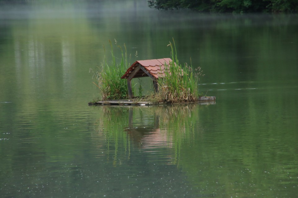 2022_06_08 grad Žovnek - foto povečava