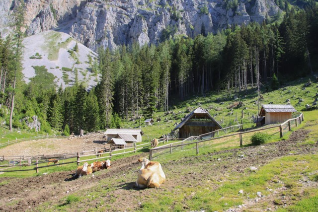 2022_06_12 Tolsta Košuta ( 2057 m )  - foto