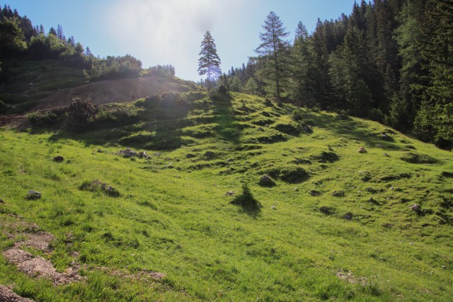 2022_06_12 Tolsta Košuta ( 2057 m )  - foto