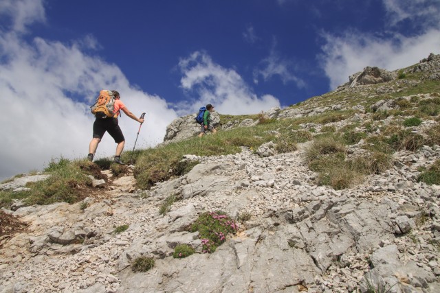 2022_06_12 Tolsta Košuta ( 2057 m )  - foto