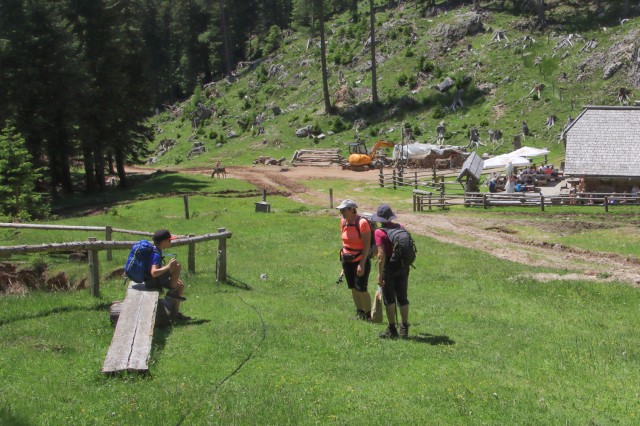 2022_06_12 Tolsta Košuta ( 2057 m )  - foto